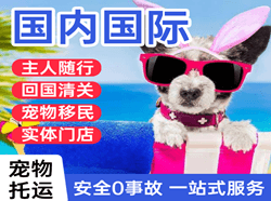 遵义茅台航空托运国际宠物托运 【国